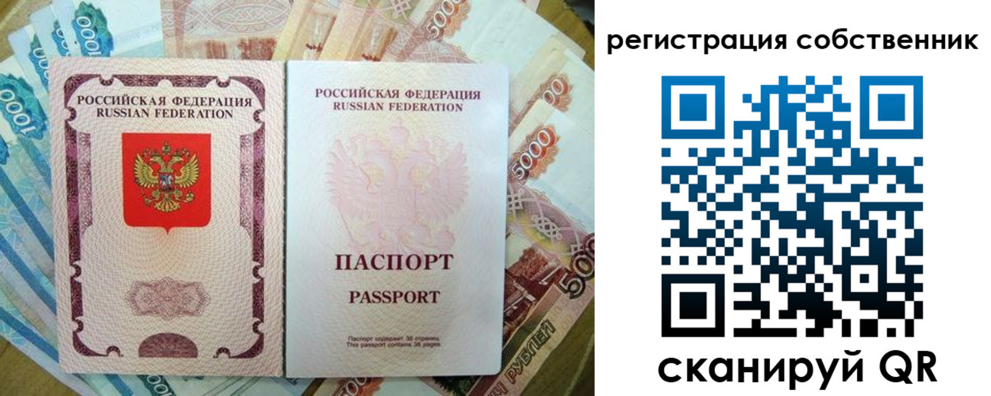 прописка гарантия в Рошале